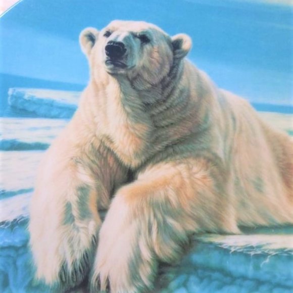 Vintage The Polar Bear Collector Plate Artist Paul Krapf Dominion China LTD - Picture 2 of 10
